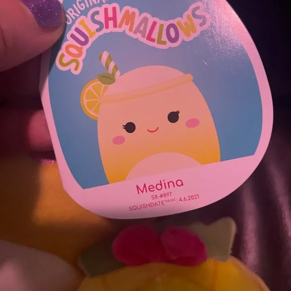 10 items - large squishmallows bundle, cow bird frogs & food and more - Picture 12 of 14